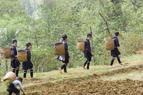 hmong women-AsiaPhotoStock