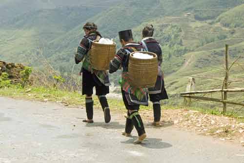 hmong go to market-AsiaPhotoStock