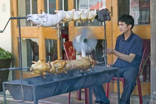 roasting pig and chicken-AsiaPhotoStock