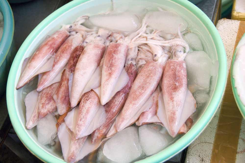 AsiaPhotoStock, fresh squid