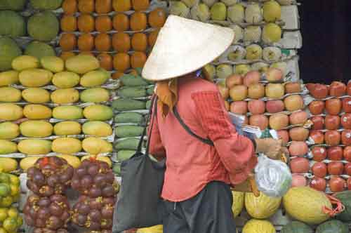 colourful fruit-AsiaPhotoStock