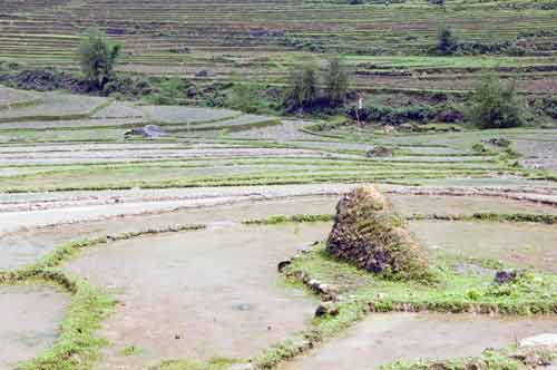 hmong grave-AsiaPhotoStock