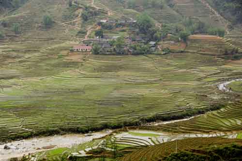 sapa rice terraces-AsiaPhotoStock