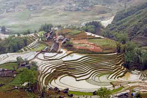 wet rice terraces-AsiaPhotoStock