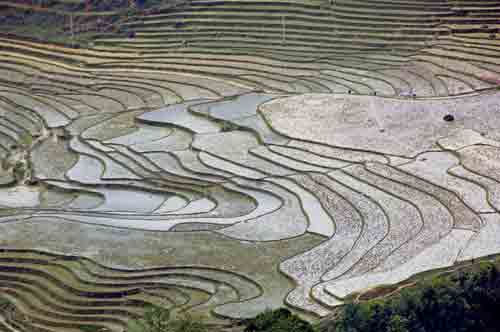 rice terraces patterns-AsiaPhotoStock
