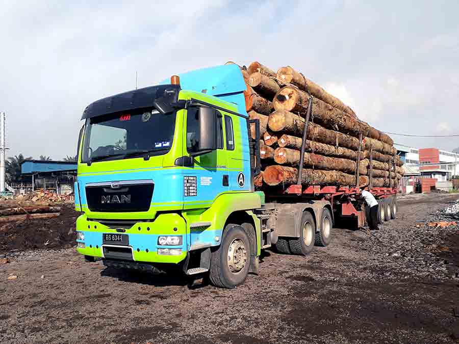 MAN logging truck-AsiaPhotoStock