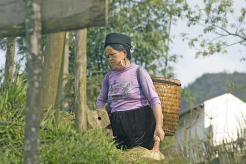 hmong lady cat cat-AsiaPhotoStock