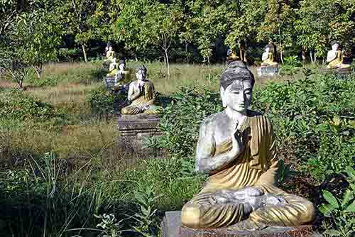 lumbini buddha-AsiaPhotoStock