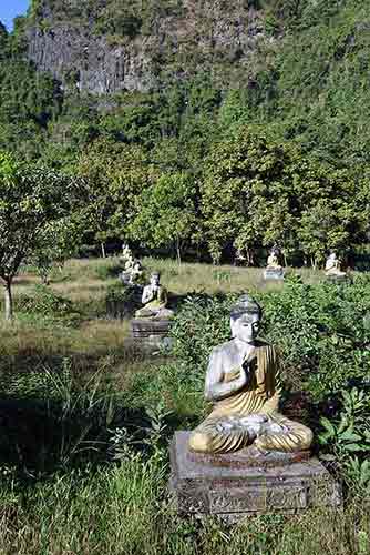 buddha statues lumbini-AsiaPhotoStock