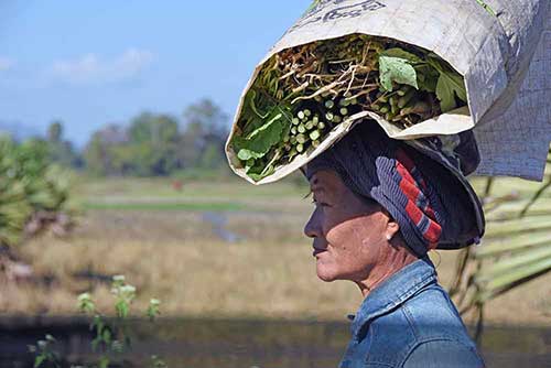 carrying vegetables on head-AsiaPhotoStock