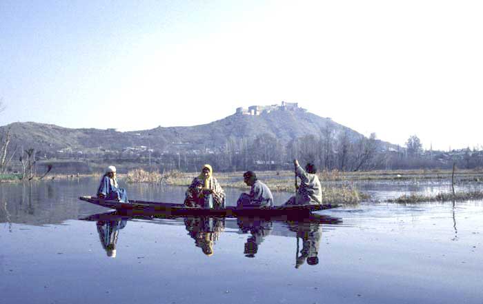 small boat on dal lake-AsiaPhotoStock