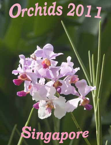 Orchids 2011 calendar-AsiaPhotoStock