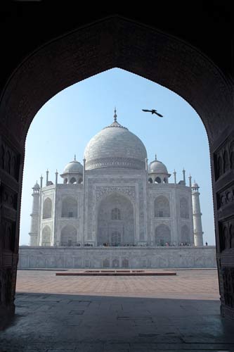 taj mahal and vulture-AsiaPhotoStock