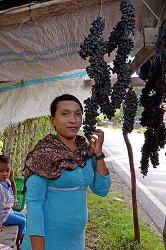 aceh grapes-AsiaPhotoStock