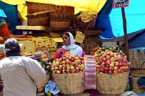 apples ooty-AsiaPhotoStock