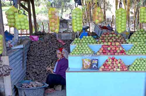 apple stalls-AsiaPhotoStock