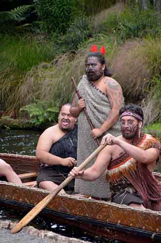 arrival of maoris-AsiaPhotoStock