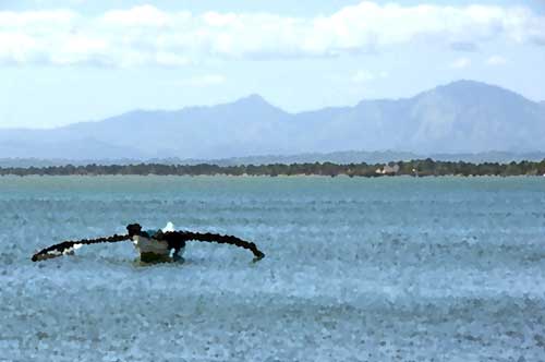 bohol sea-AsiaPhotoStock