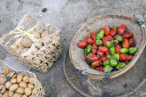 assorted vegetables-AsiaPhotoStock