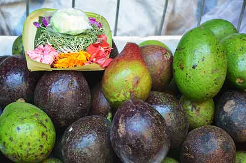 avocado offerings-AsiaPhotoStock