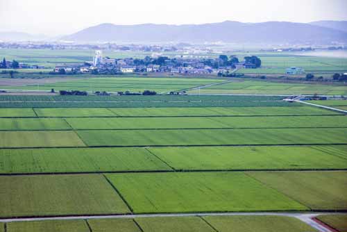 awara onsen rice-AsiaPhotoStock