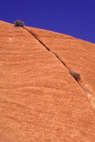 ayers rock detail-AsiaPhotoStock