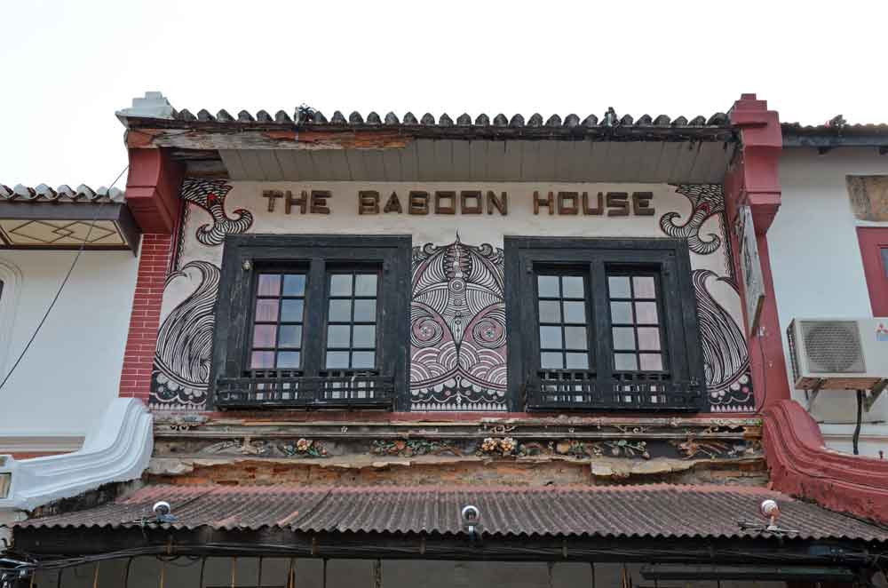 the baboon house-AsiaPhotoStock
