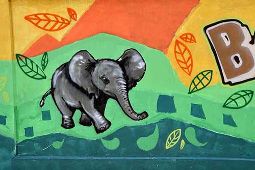 baby elephant-AsiaPhotoStock