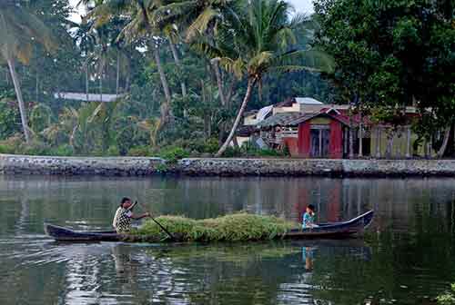 backwaters-AsiaPhotoStock