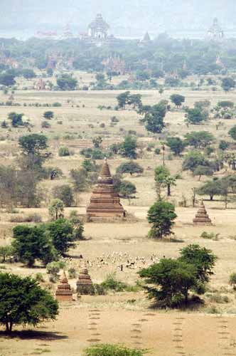 bagan pagodas-AsiaPhotoStock