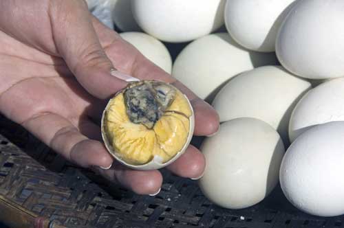 balut-AsiaPhotoStock