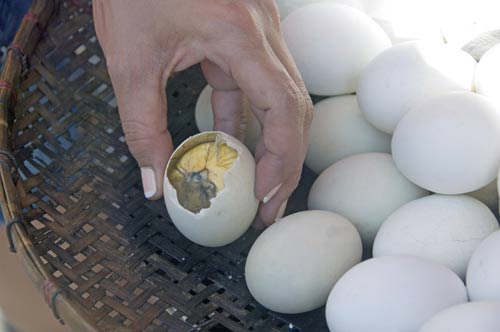 balut eggs-AsiaPhotoStock