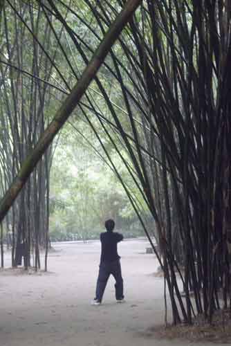 bamboo park-AsiaPhotoStock