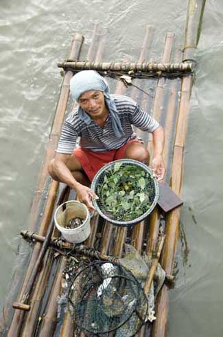 bamboo raft-AsiaPhotoStock