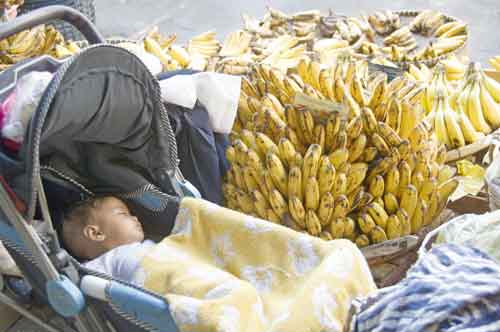 baby and bananas-AsiaPhotoStock