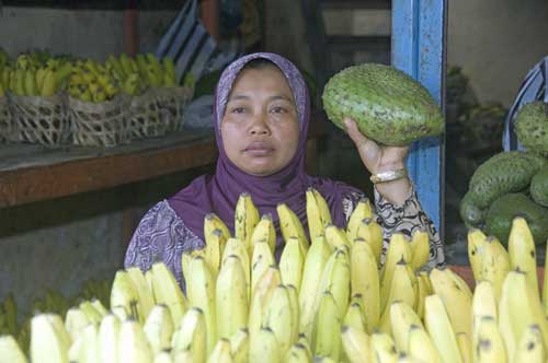 bananas-AsiaPhotoStock