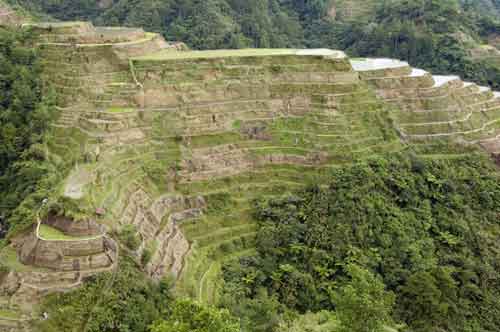 banaue rice terracing-AsiaPhotoStock