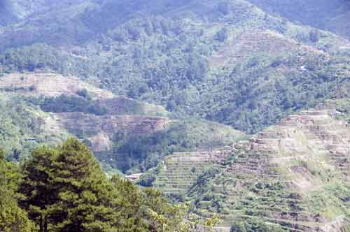 banaue rice field-AsiaPhotoStock