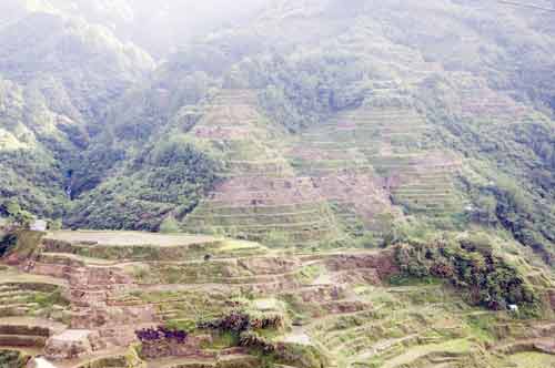 banaue terracing-AsiaPhotoStock