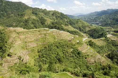 banaue rice fields-AsiaPhotoStock