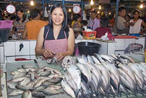 bangus fish-AsiaPhotoStock