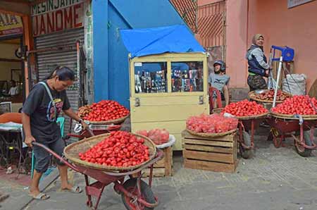 barrow work-AsiaPhotoStock