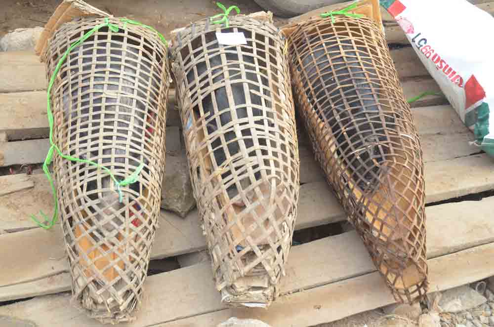 AsiaPhotoStock, basket pig