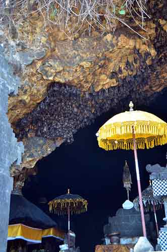 bat temple-AsiaPhotoStock