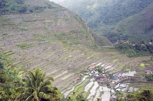 batad rice slope-AsiaPhotoStock