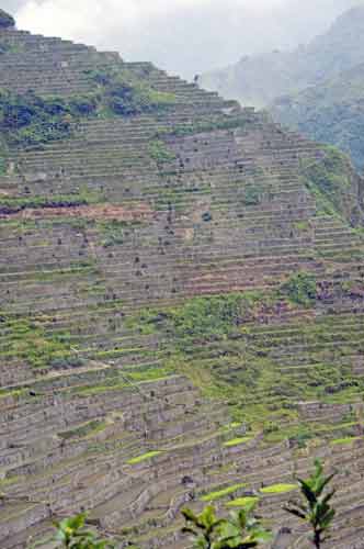 batad slopes-AsiaPhotoStock