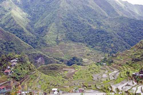 batad rice view-AsiaPhotoStock