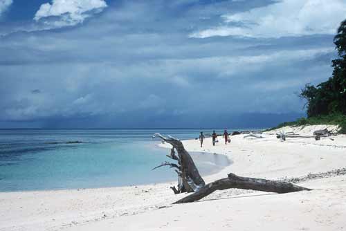 sipidan beach-AsiaPhotoStock