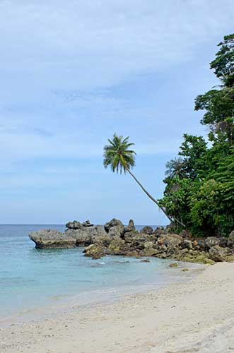 beach casa nemo-AsiaPhotoStock