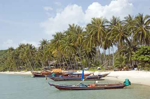 beach coconuts and boats-AsiaPhotoStock